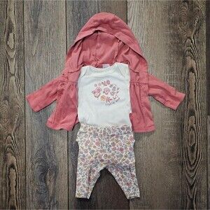 Carter's Pink Hoodie and Floral Bodysuit Set